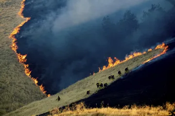 Člověk způsobil obrovské množství environmentálních katastrof. V touze po lepším světě
