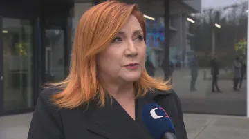 Ministryně financí Alena Schillerová (ANO)