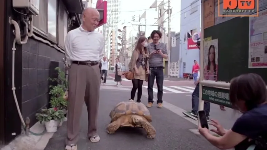 Japonec venčí želvu v Tokiu