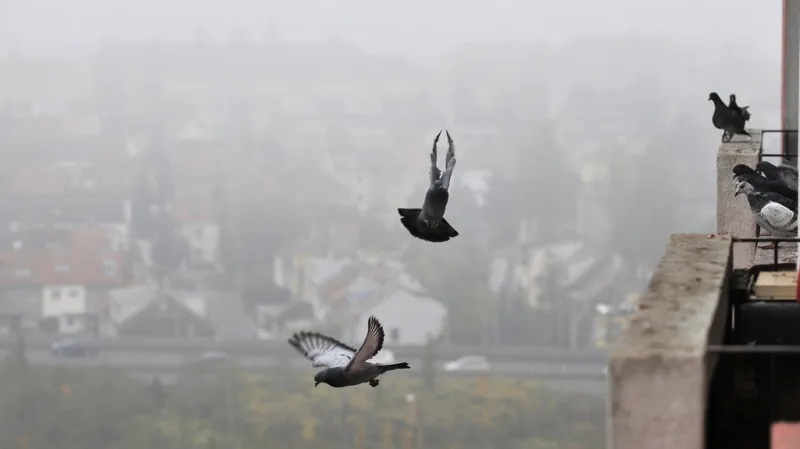 Inverzní počasí v Praze