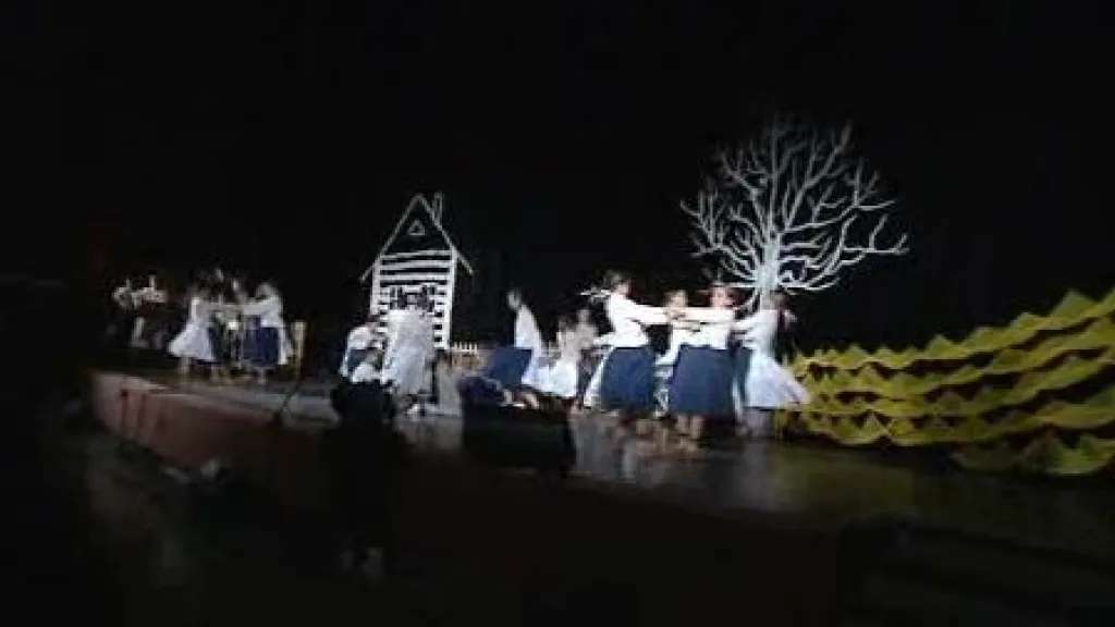 Vystoupení souboru Ostravica