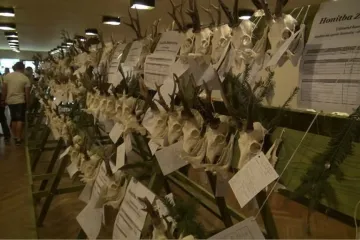 Výstava o životním prostředí