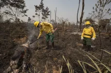 Amazonii opět sužují lesní požáry, je jich více než před rokem