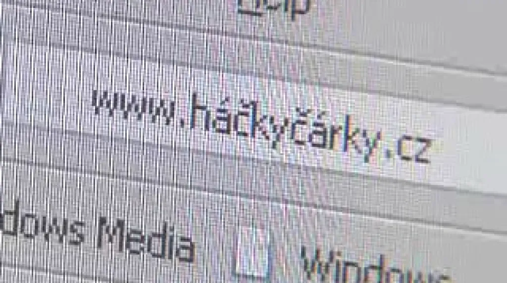 Doména s diakritikou