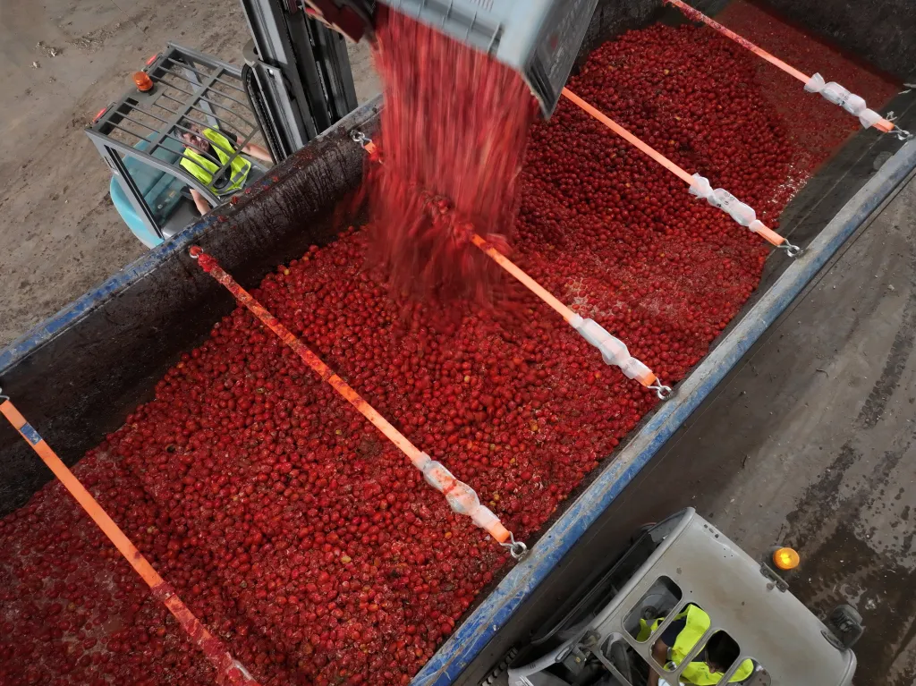 Španělský festival Tomatina