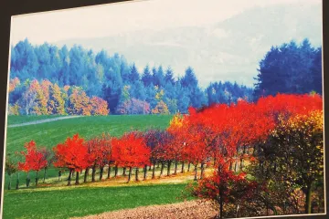 Vernisáž výstavy Josefa Budiše a Libuše Baďurové v Boskovicích