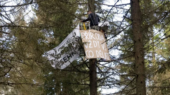 Aktivisté v korunách stromů