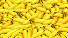 Banány