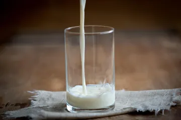 Plnohodnotné mléko bez krav se blíží. Vědci učí bakterie, jak ho vyrábět