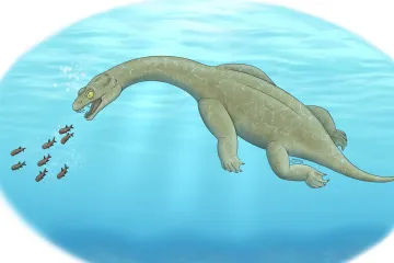 Nově objevený pravěký predátor s krátkým ocasem lovil u dna