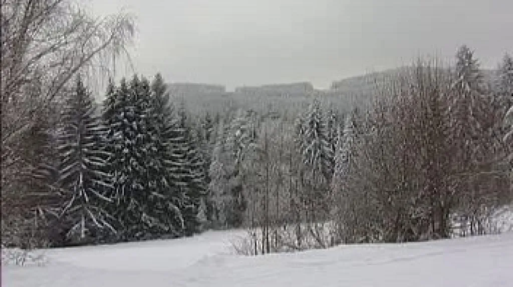 Šumava