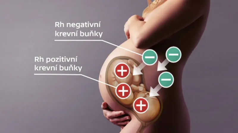 Krev Australana Harrisona léčí