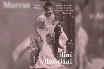 Manželka není milenka a onanie vede k šílenství. Jiní viktoriáni rozebírají knihy nemravné