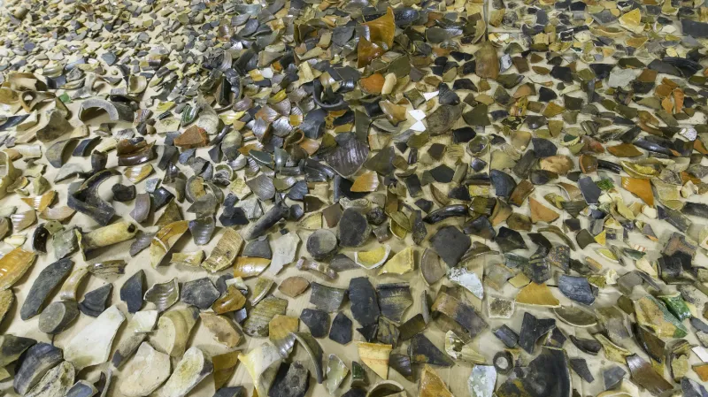 V okolí fakulty byly skryty tisíce předmětů