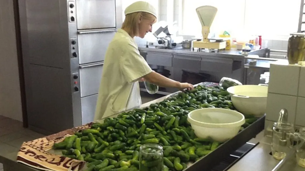 Před čtyřmi lety se okurky vrátily zpět do Znojma