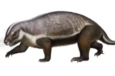 Vědci našli na Madagaskaru fosilii „šíleného tvora“. Podivný savec neměl v říši zvířat obdobu