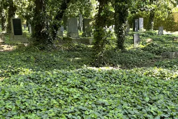 Židovská obec v Praze hledá příběhy tisíce neoznačených hrobů