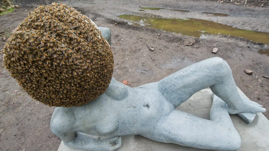 Socha Pierra Huygha je vytvořena pomocí tisíců živých včel