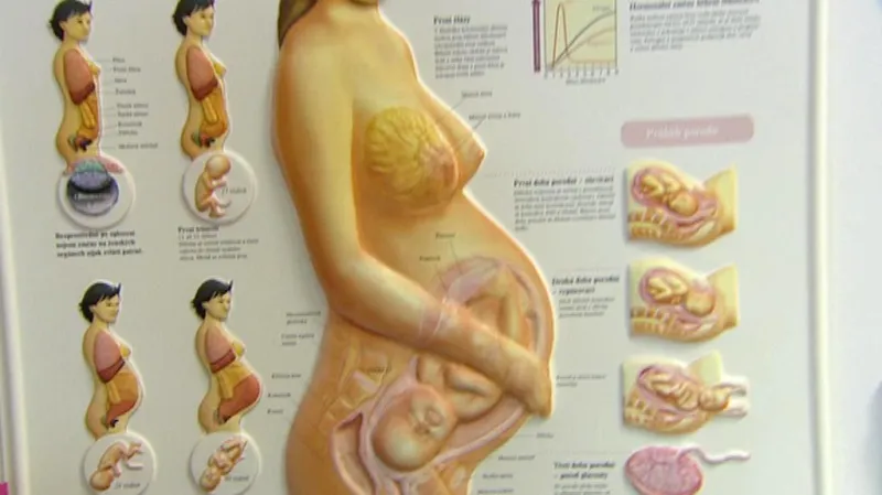 Těhotenství a porod