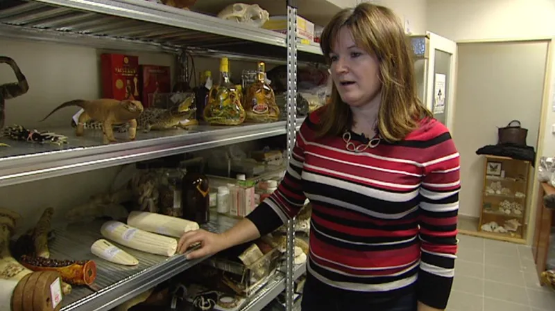 Sklad vyřazených věcí