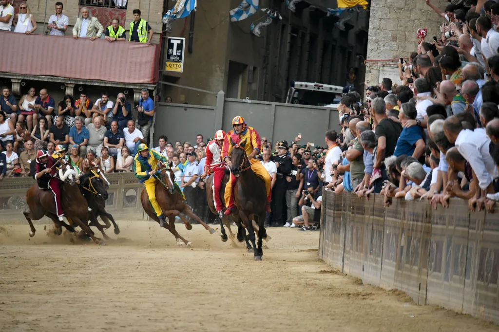 Celý závod trvá pouhých 90 vteřin, často i méně. Sledovat koně z davu na náměstí je často téměř nemožné. V ostrých zatáčkách hrozí podklouznutí, koně je často probíhají těsně namačkáni jeden  na druhého.