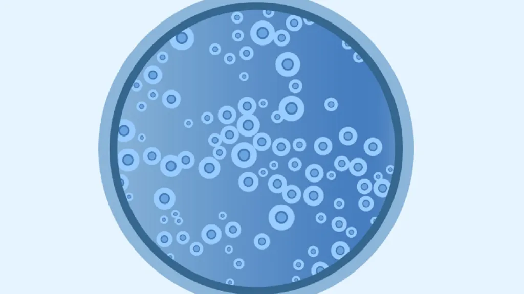 Cryptococcus deneoformans