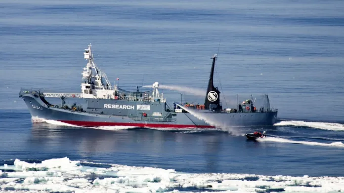 Japonští velrybáři manévrují vodním dělem proti aktivistům ze Sea Shepherd