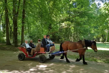 Zeman v Bělověžském pralese znovu vyjádřil solidaritu s Polskem. Připomněl i zubry v Milovicích