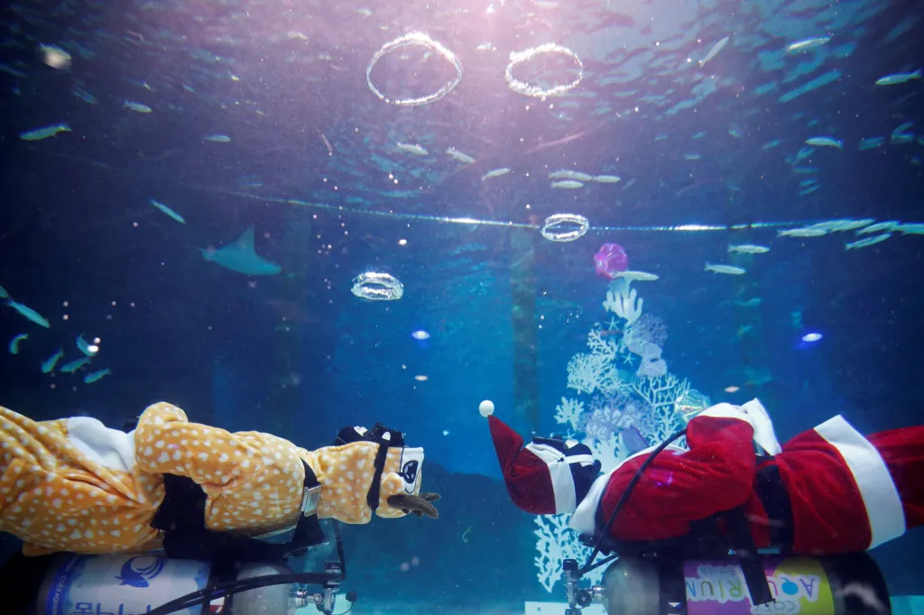 Santa a manta