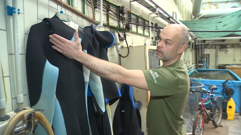 Neoprény pavouky lákají