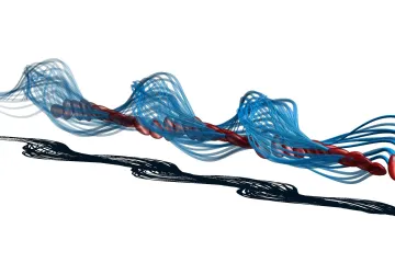 Výzkum spermií vyvedl vědu po tři sta letech z omylu