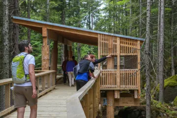 Na Šumavě chybí strážci přírody, park se obává náporu turistů