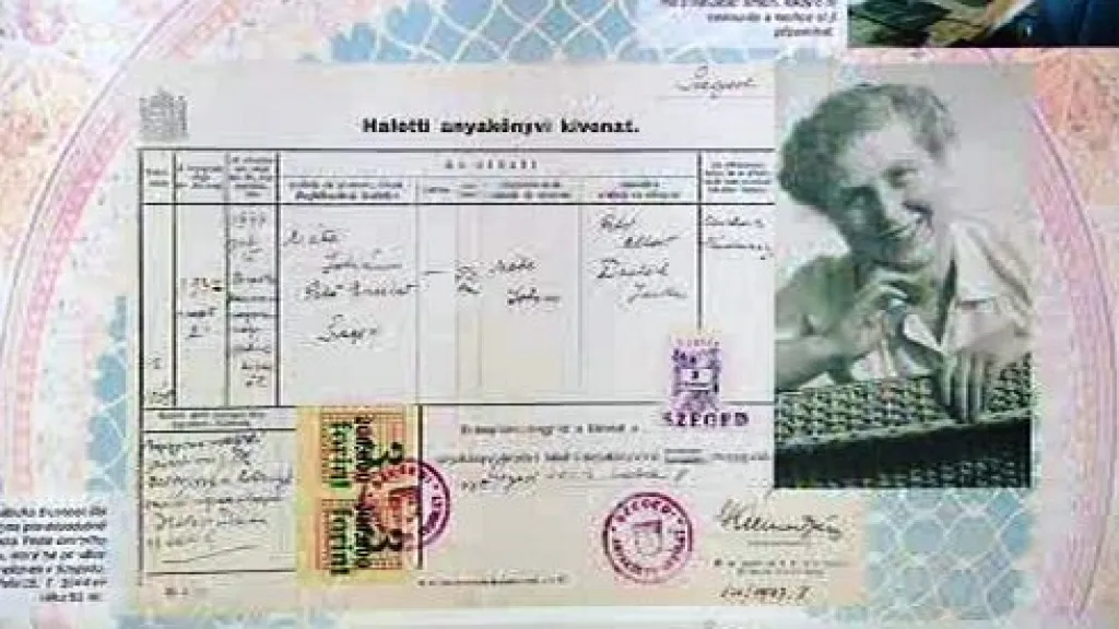 Zmizelí sousedé