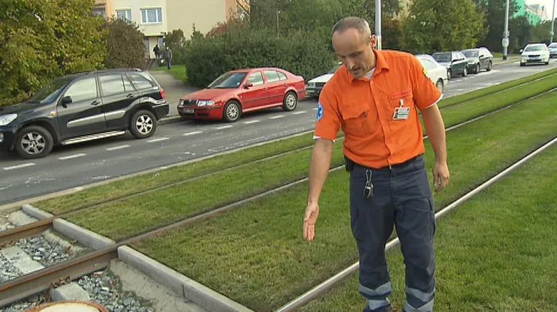 Zatravněný tramvajový pás
