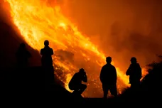 Požáry ohrožují 4400 druhů rostlin a zvířat. Rychle jich přibývá a jsou stále silnější