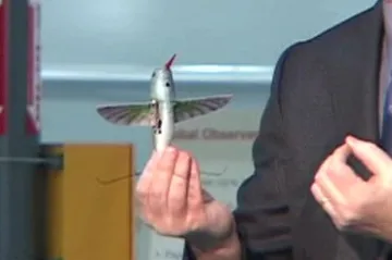 Armáda USA má novou zbraň - kolibříka