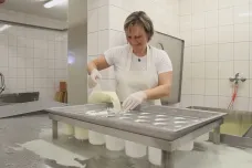 Malých mlékáren v Česku ubývá, potíže jim působí vysoké náklady