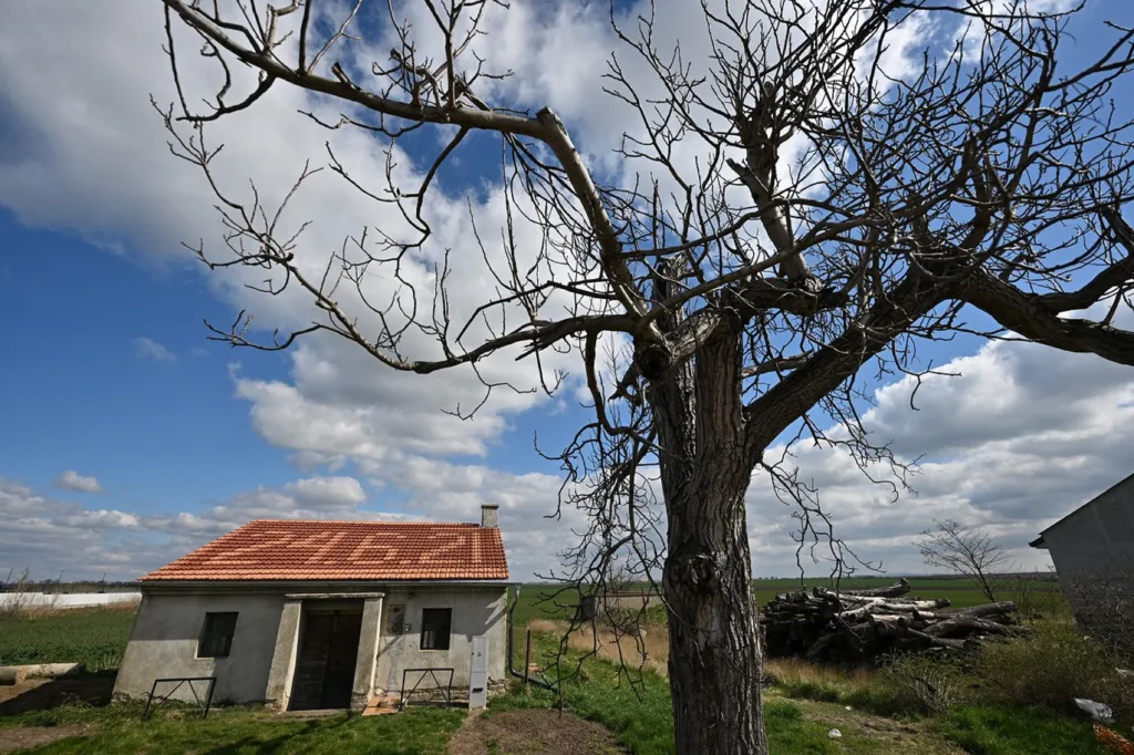 Obec Hrušky demontuje provizorní elektrické vedení