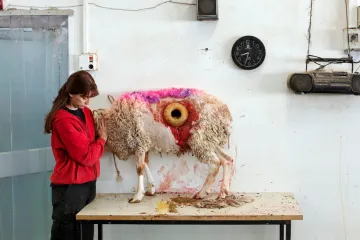 Můj domov Izrael. Výstava This Place mapuje život ve „sporné zemi“