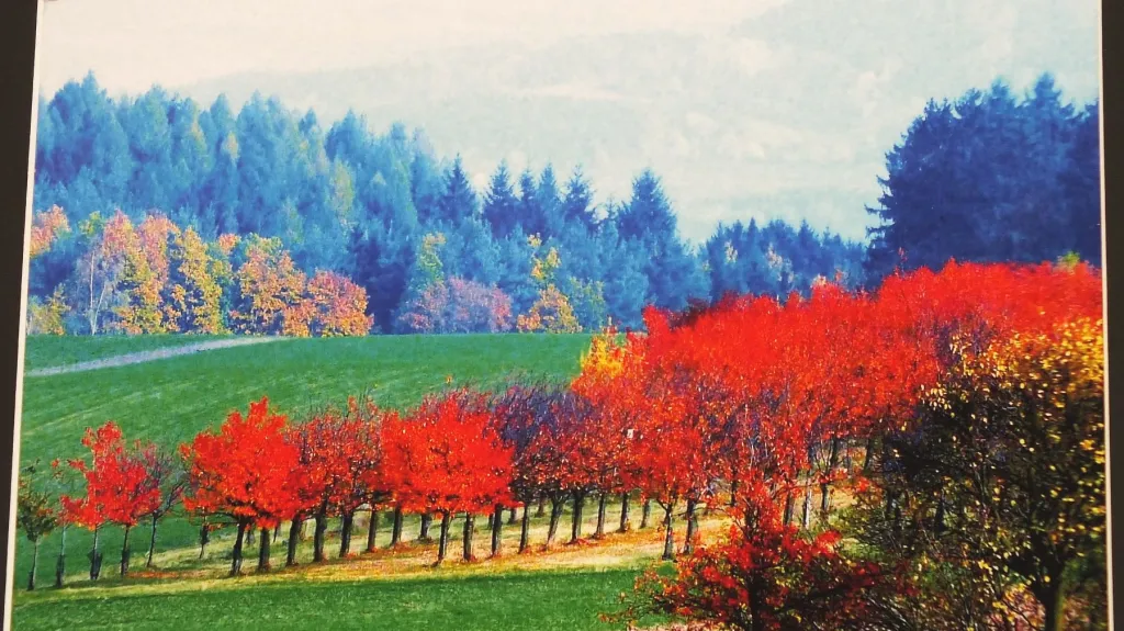 Z výstavy L. Baďurové a J. Budiše v Boskovicích