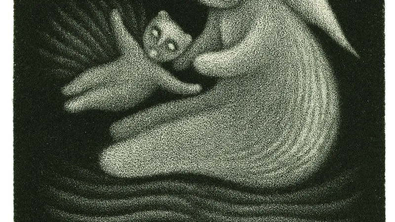 Ilustrace ke knize Vratislava Maňáka O Nebesáři