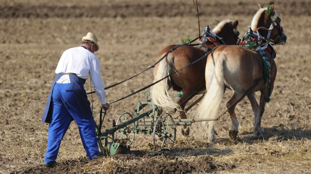 Mistrovství ČR v orbě