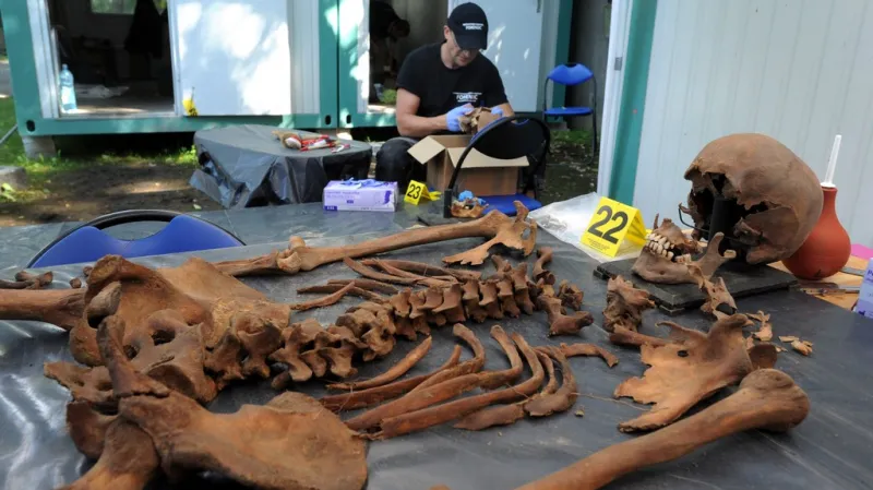 Pátrání po Witoldu Pileckém