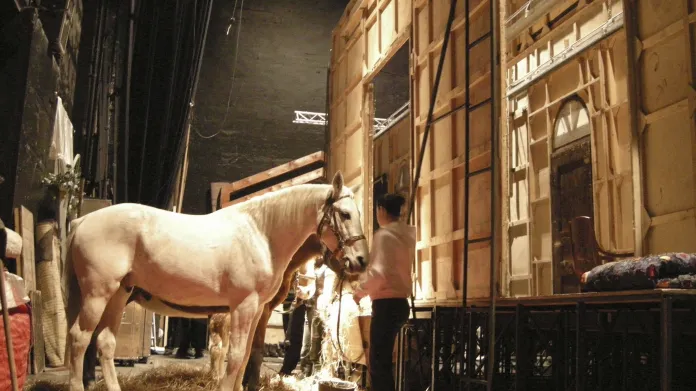 Živí koně v Divadle na Vinohradech při hostování divadla Tabakerka