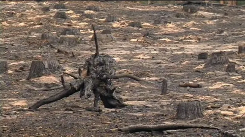 Reportáž Barbory Lukšové