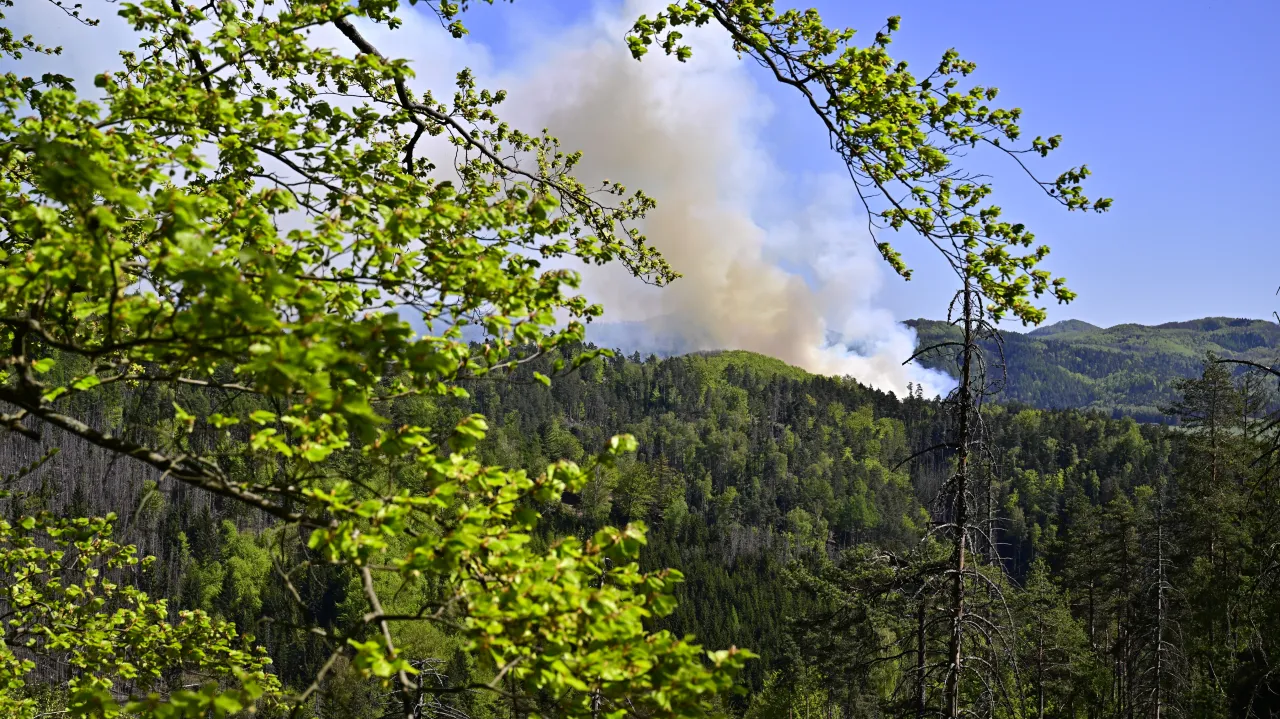 V Českém Švýcarsku hoří deset hektarů lesa, hasiči nasazují vrtulníky — image 1