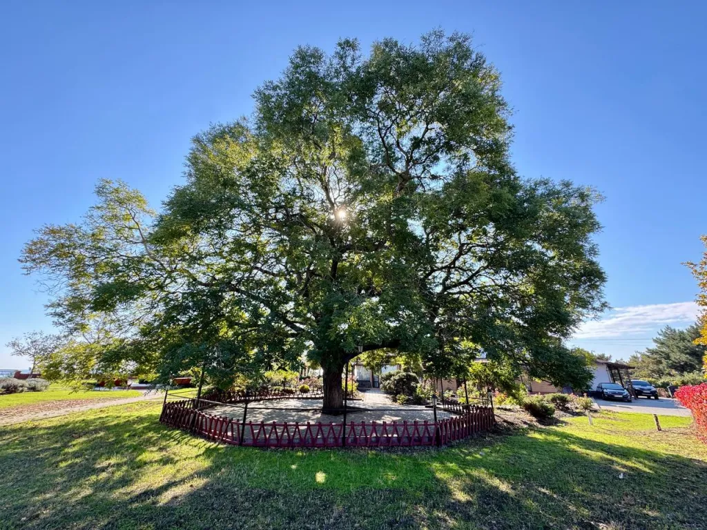 Jerlín v parku Prymorsky (Ukrajina)