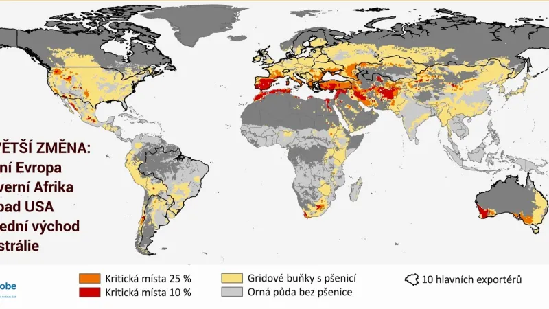 Místa, kde bude pšenice nejvíc zranitelná