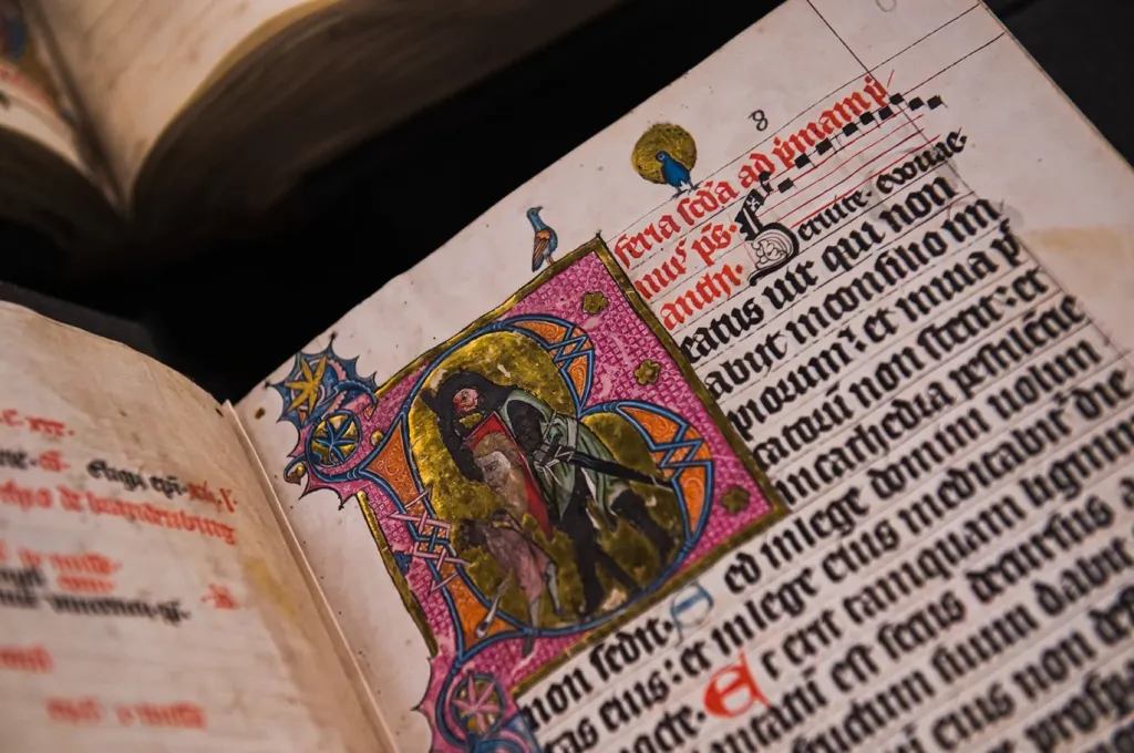 Výstava Eliška Rejčka: Dar středověku