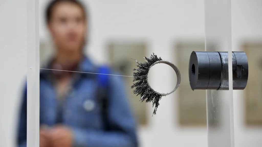 Výstava děl Dalibora Chatrného v Domě umění